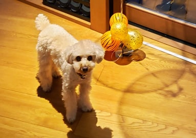 別荘様子イメージ